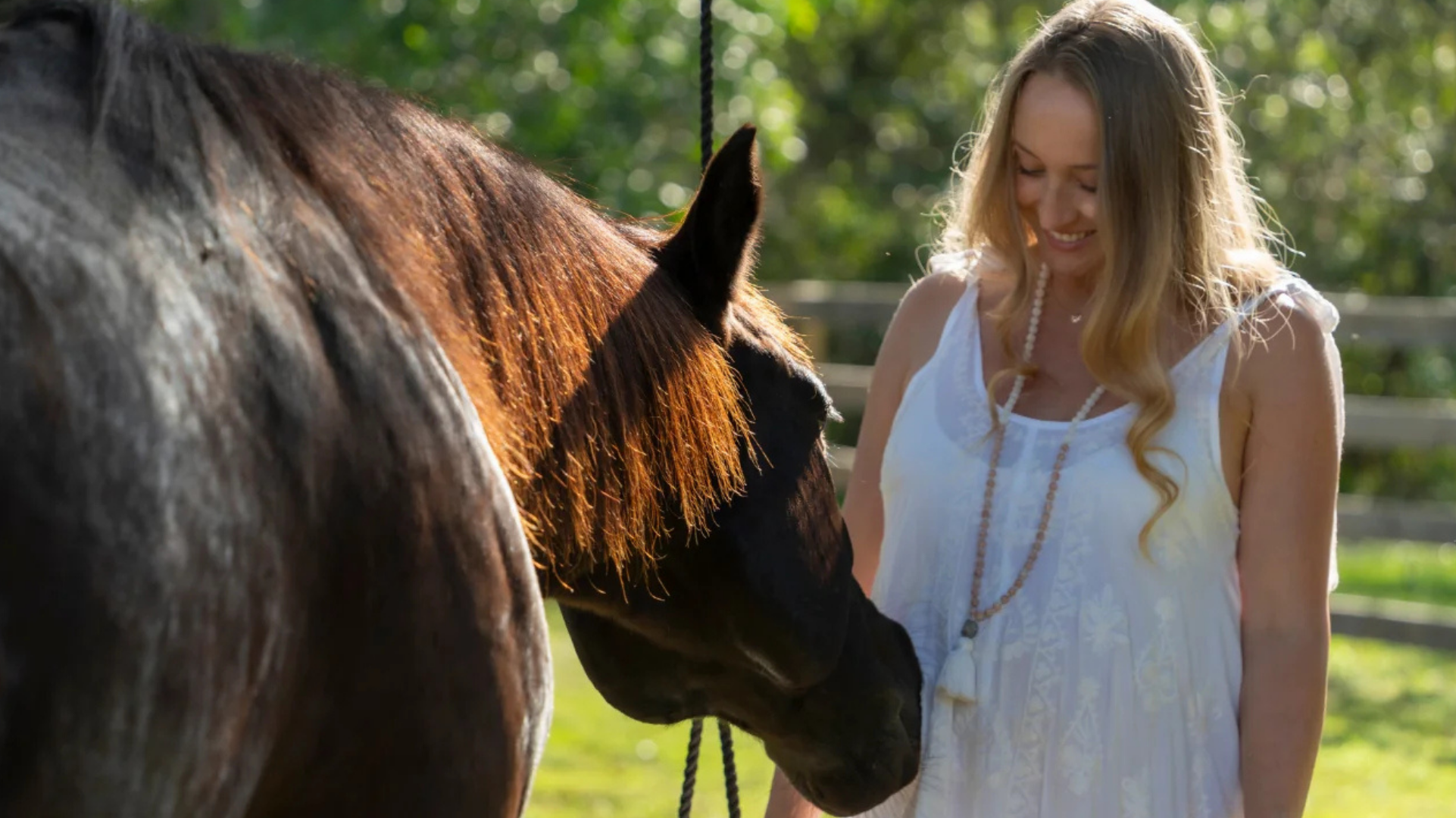 The Year of the Horse: Movement, Intention & Unbridled Freedom