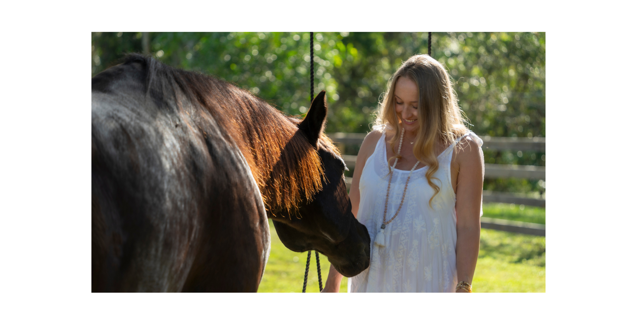 The Year of the Horse: Movement, Intention & Unbridled Freedom